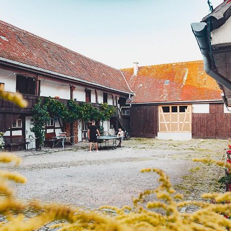 Ferienwohnung Bruehler Hof 巴特贝尔卡 外观 照片